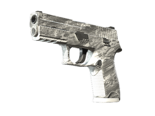 P250 | Sleet